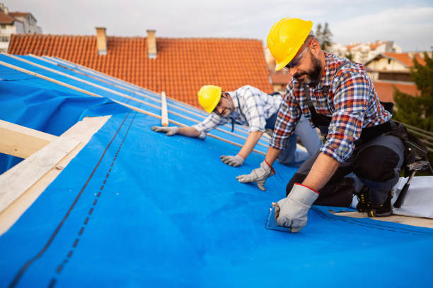 Best Local Roofing Companies  in Tainter Lake, WI